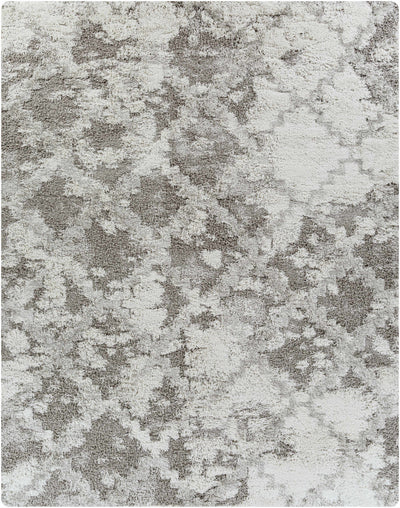 Kilgetty Gray Shag Area Carpet