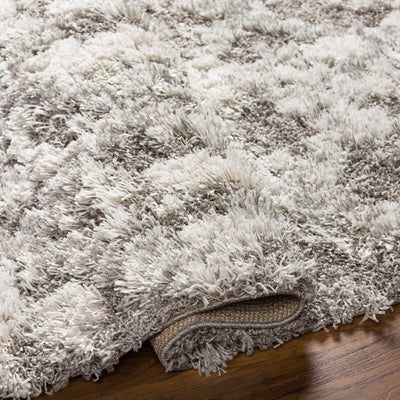 Kilgetty Gray Shag Area Carpet