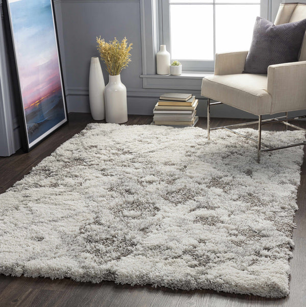 Kilgetty Gray Shag Area Carpet