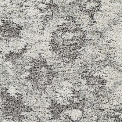 Kilgetty Gray Shag Area Carpet