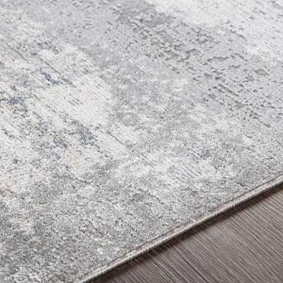 Kallangur Abstract Gray Area Rug