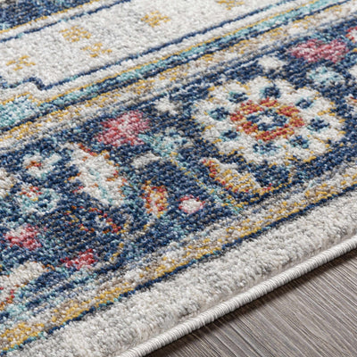 Knowle 8x10 Traditional Blue Rug - Clearance