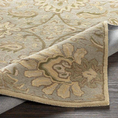 Chesterton Hand Tufted Ivory 1111 Area Rug