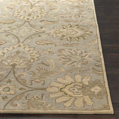 Chesterton Hand Tufted Ivory 1111 Area Rug