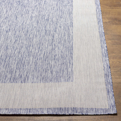 Kiah Blue Bordered Performance Rug