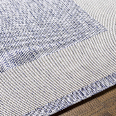 Kiah Blue Bordered Performance Rug