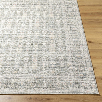 Kaili Area Rug