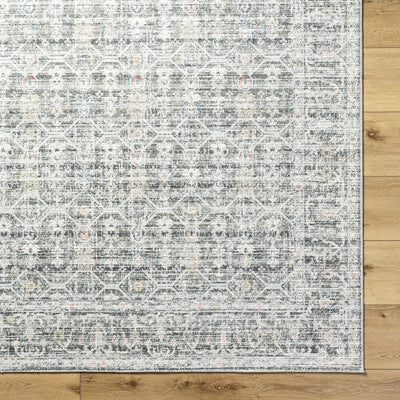 Kaili Area Rug