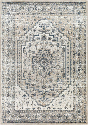 Labnig Traditional Area Rug - Clearance