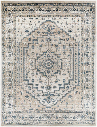 Labnig Traditional Area Rug - Clearance