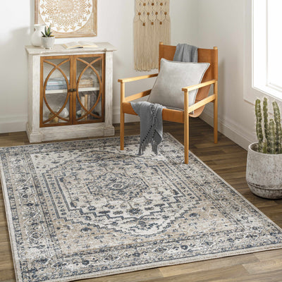 Labnig Traditional Area Rug - Clearance