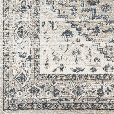 Labnig Traditional Area Rug - Clearance