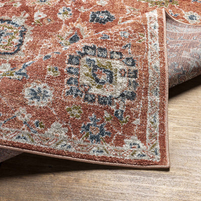 Lanigay Traditional Area Rug - Clearance