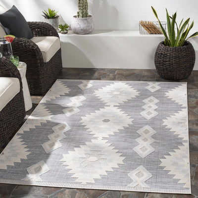 Alburg Southwestern Gray Area Rug - Clearance