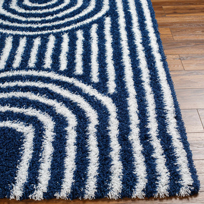 Libe Shag Area Rug