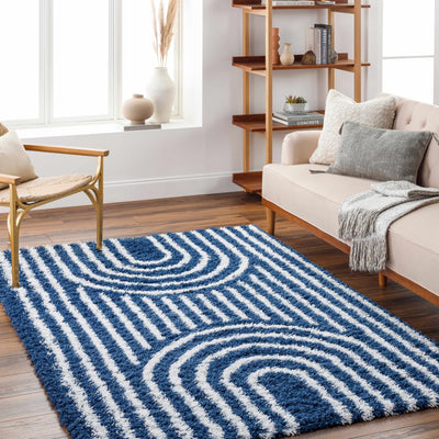 Libe Shag Area Rug