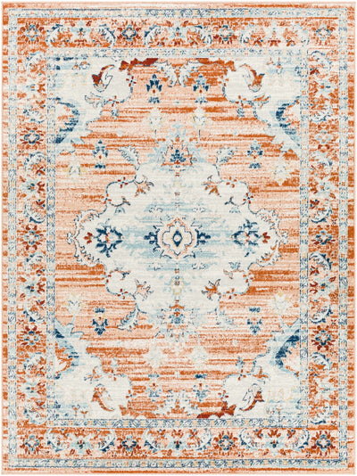 Liciada Area Rug - Clearance