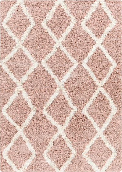 Linh Pink Shag Area Rug