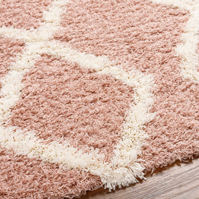 Linh Pink Shag Area Rug