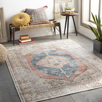 Lake Washable Area Rug - 2x3 Clearance