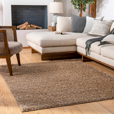 Dark Tan Solid Area Rug - Clearance