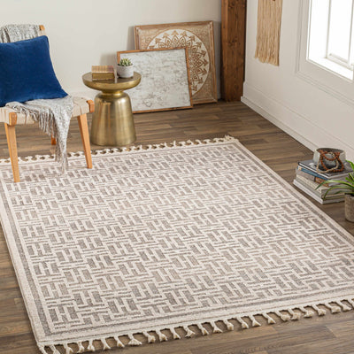 Elliot Area Rug - Clearance