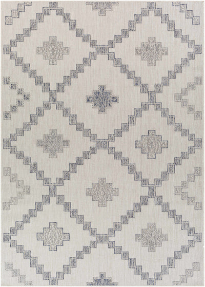 Lanigan Indoor & Outdoor Rug - Clearance