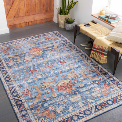 Lota Area Rug - Clearance