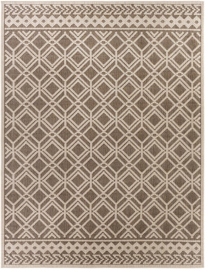 Lyman Area Rug - Clearance