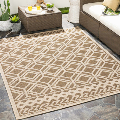 Lyman Area Rug - Clearance