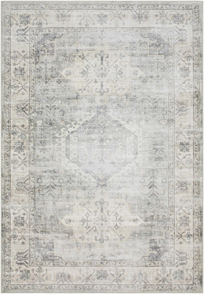 Laran Sage Distressed Washable Area Rug