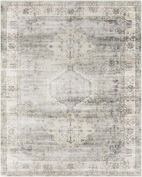 Laran Sage Distressed Washable Area Rug