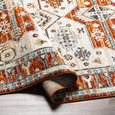 Maloma Area Rug - Clearance