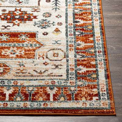 Maloma Area Rug - Clearance