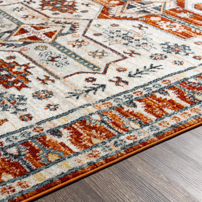 Maloma Area Rug - Clearance