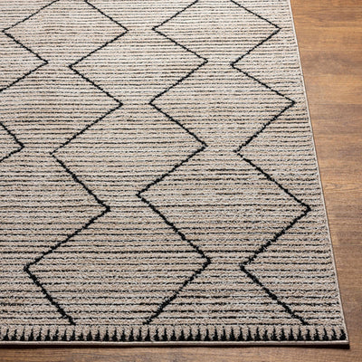 Maonon Area Rug - Clearance