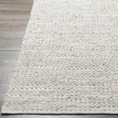 Maximo Area Rug - Clearance