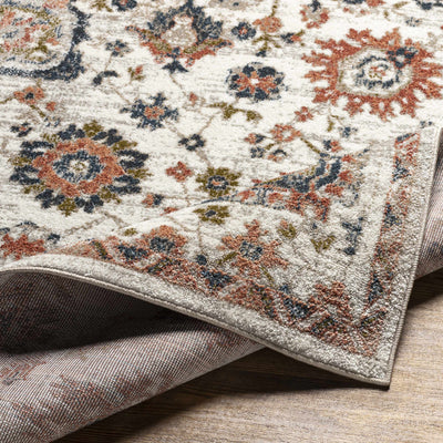 Mayabon Traditional Area Rug - Clearance