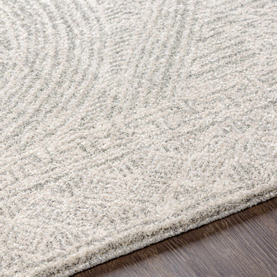 Middleville Area Rug - Clearance