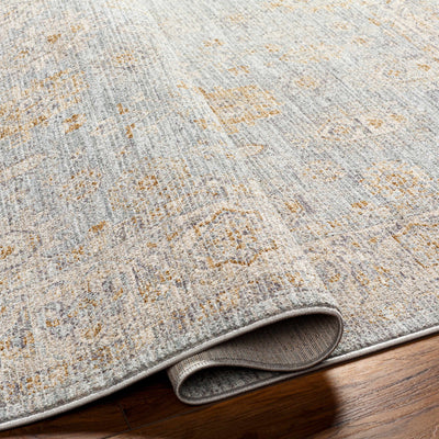 Coby Deep Teal Avant Garde Area Rug