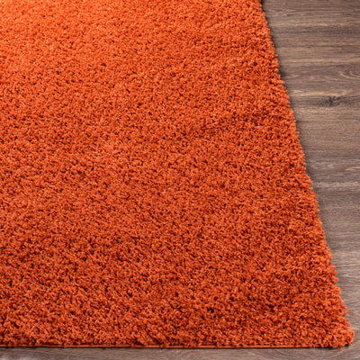 Burnt Orange Rug