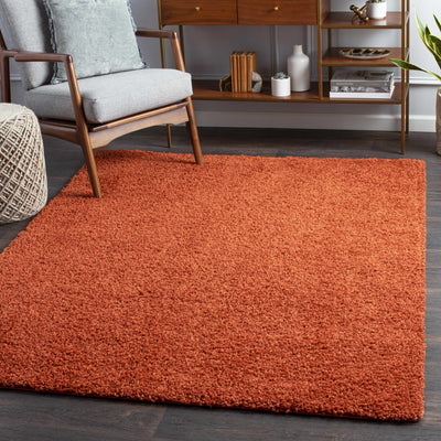 Burnt Orange Rug