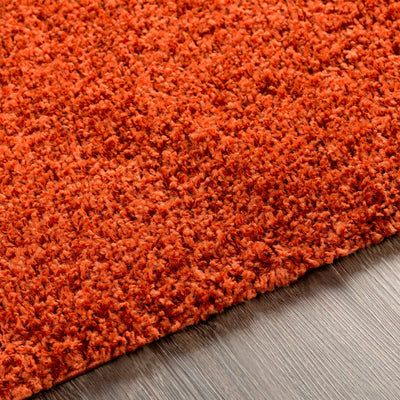 Burnt Orange Rug