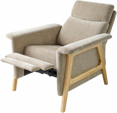 Eckersdorf Modern Minimalist Wooden Accent Chair