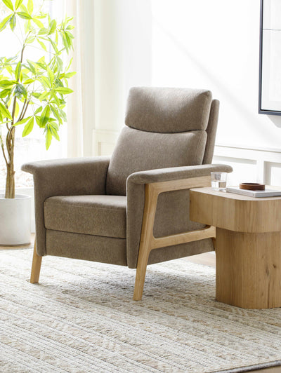 Eckersdorf Modern Minimalist Wooden Accent Chair