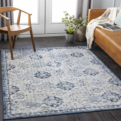 Minonk Area Rug - Clearance