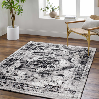 Monte Area Rug