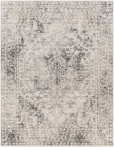 Motley Ultra Distressed Beige Area Carpet - Clearance