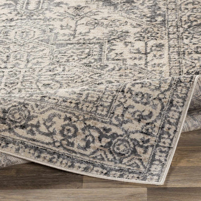 Motley Ultra Distressed Beige Area Carpet - Clearance