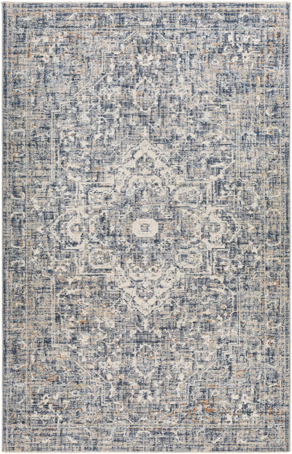 Buguey Blue & Gray Area Rug - Clearance